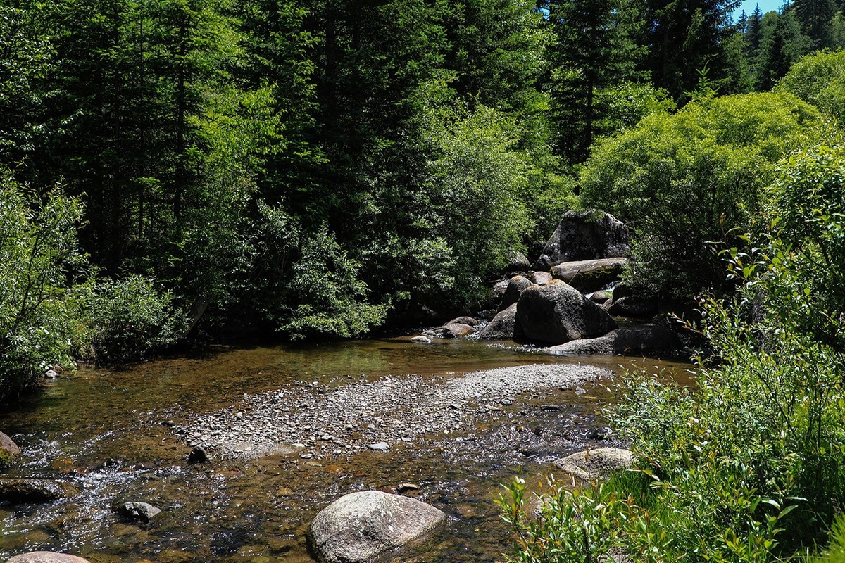 从甘肃冶力关到合作的路上随拍