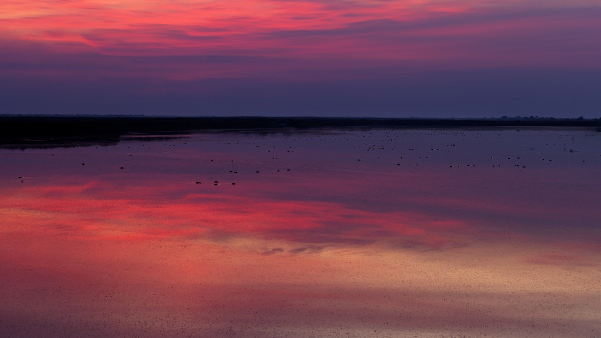 在东营看晨光日出
