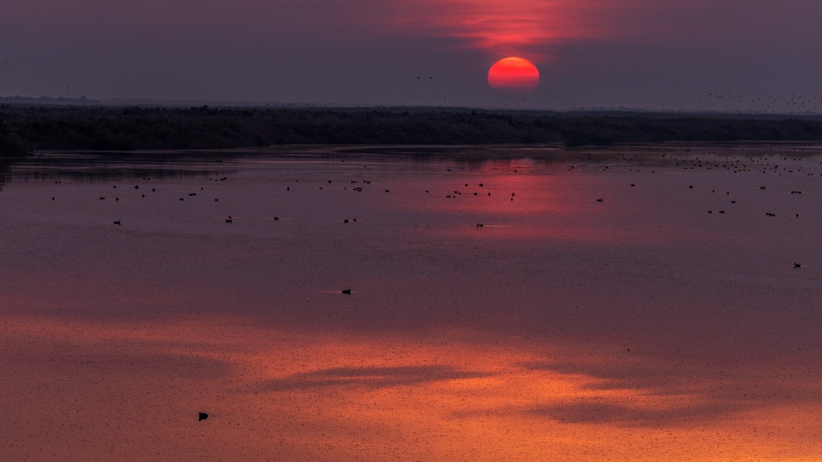 在东营看晨光日出