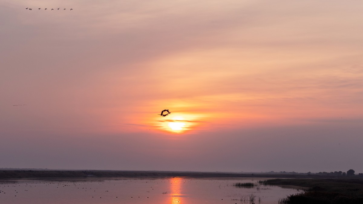 在东营看晨光日出