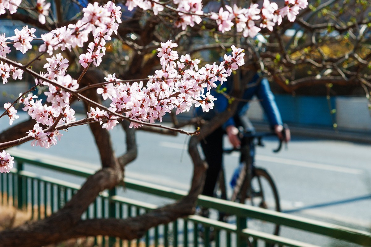 春回京城东二环