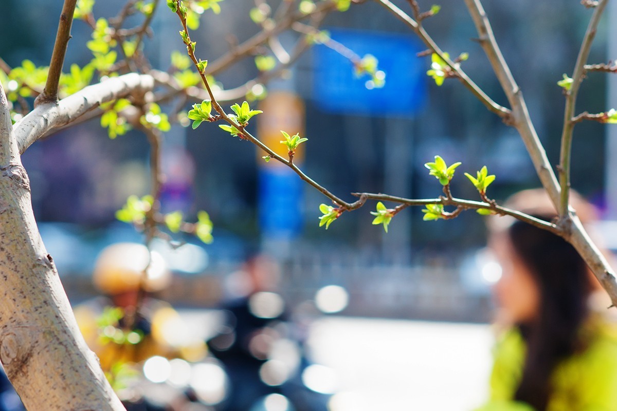 春回京城东二环