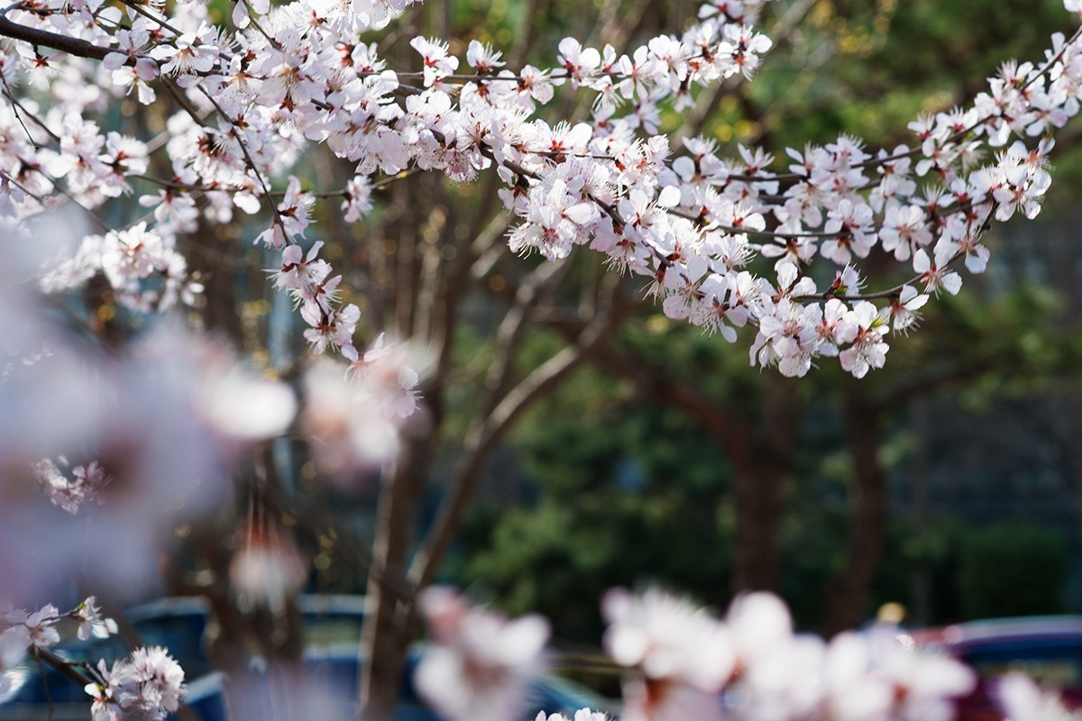 春回京城东二环