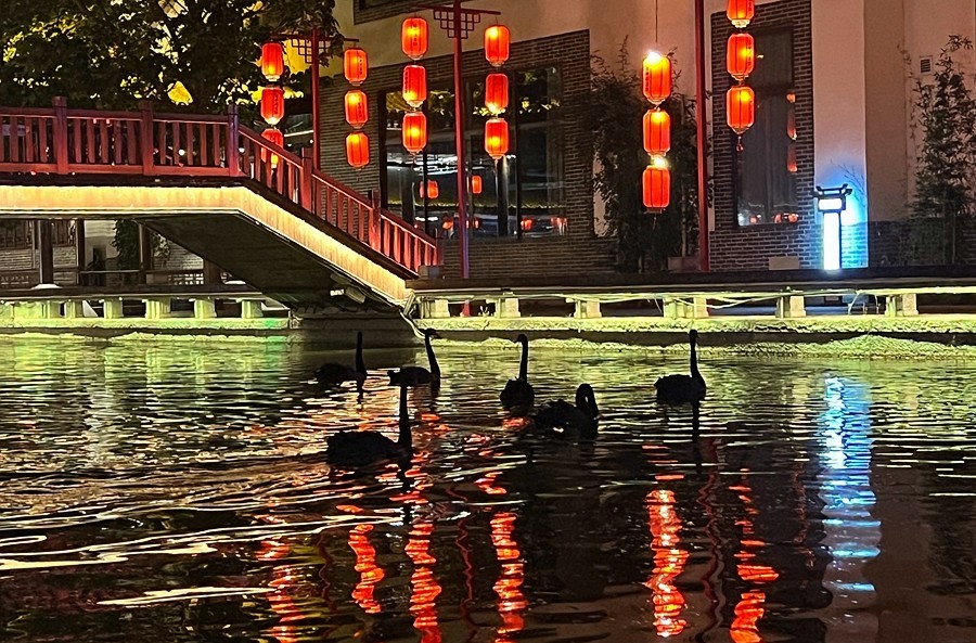 《不老松：纪实摄影》【大好河山系列报導】邯郸游摄！赤水湾古镇夜景！〔13〕黑天鵝夜