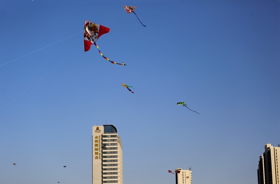《不老松：纪实摄影》一线牵住翱翔的风筝！