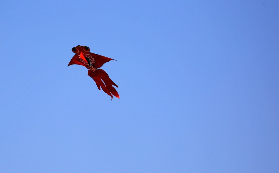 《不老松：纪实摄影》一线牵住翱翔的风筝！