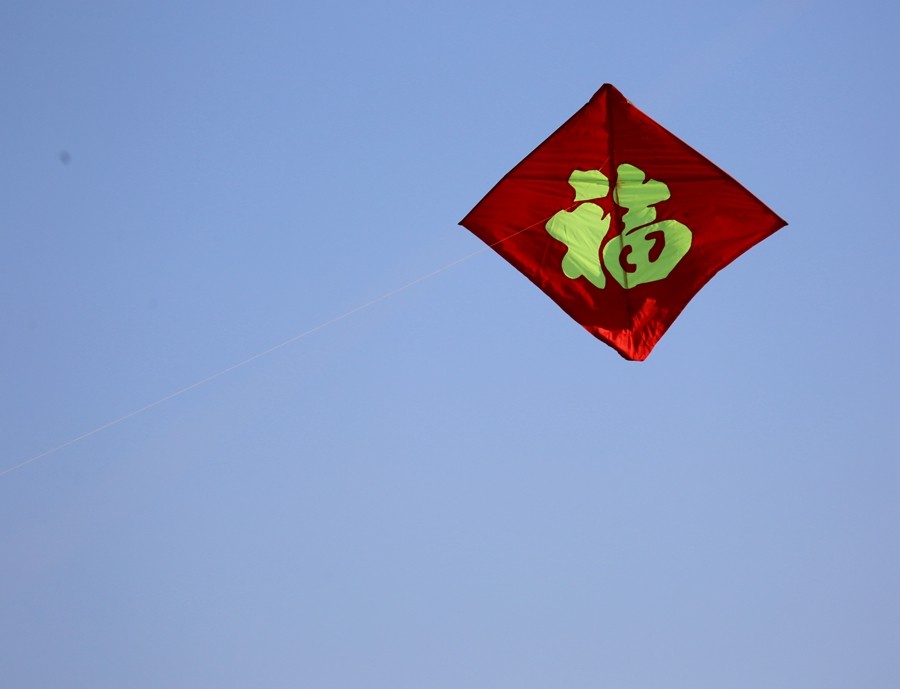 《不老松：纪实摄影》一线牵住翱翔的风筝！