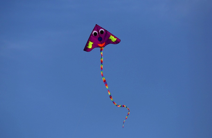 《不老松：纪实摄影》一线牵住翱翔的风筝！