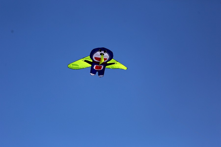 《不老松：纪实摄影》一线牵住翱翔的风筝！