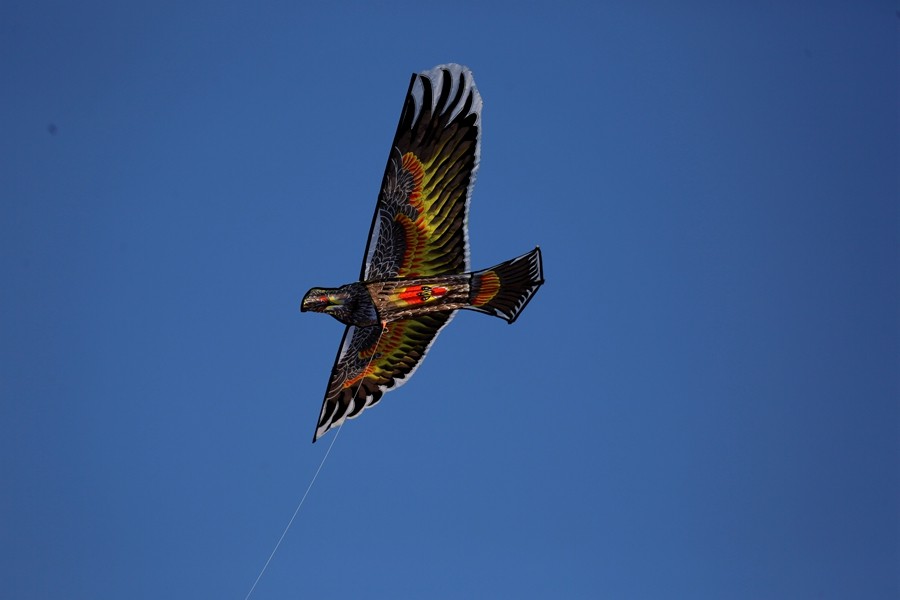 《不老松：纪实摄影》一线牵住翱翔的风筝！