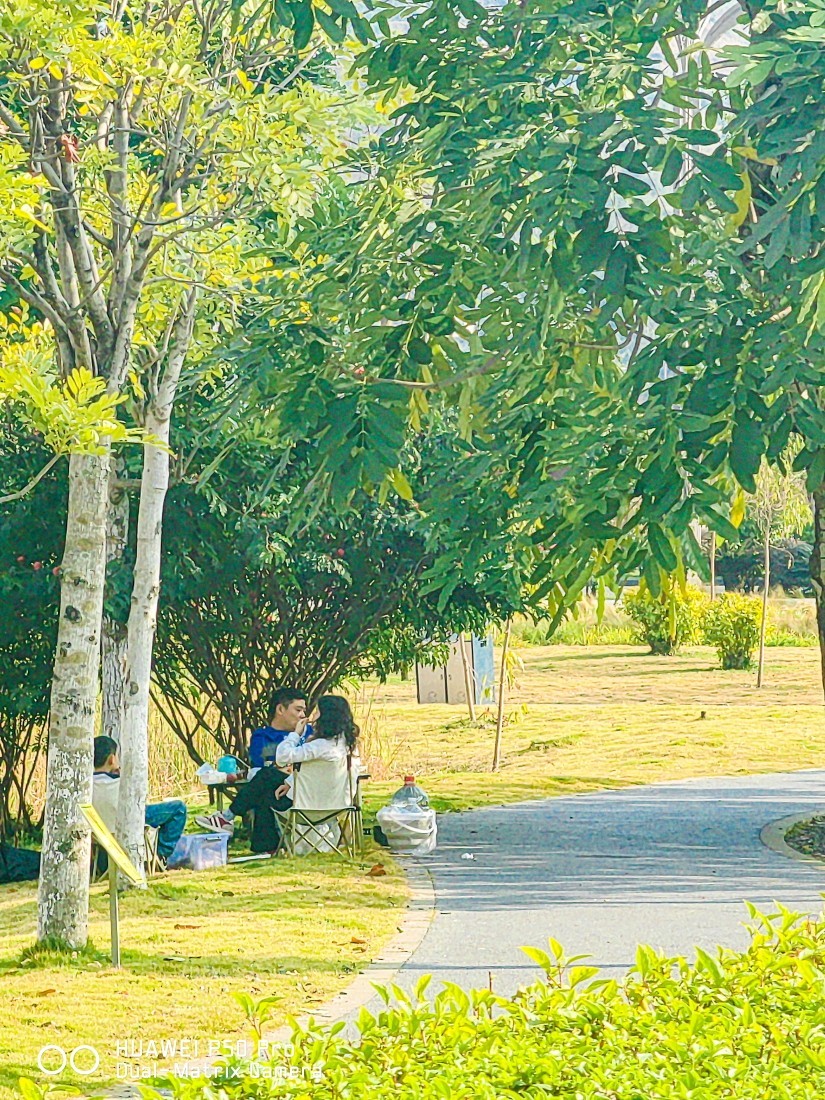 外出随拍（续362）.