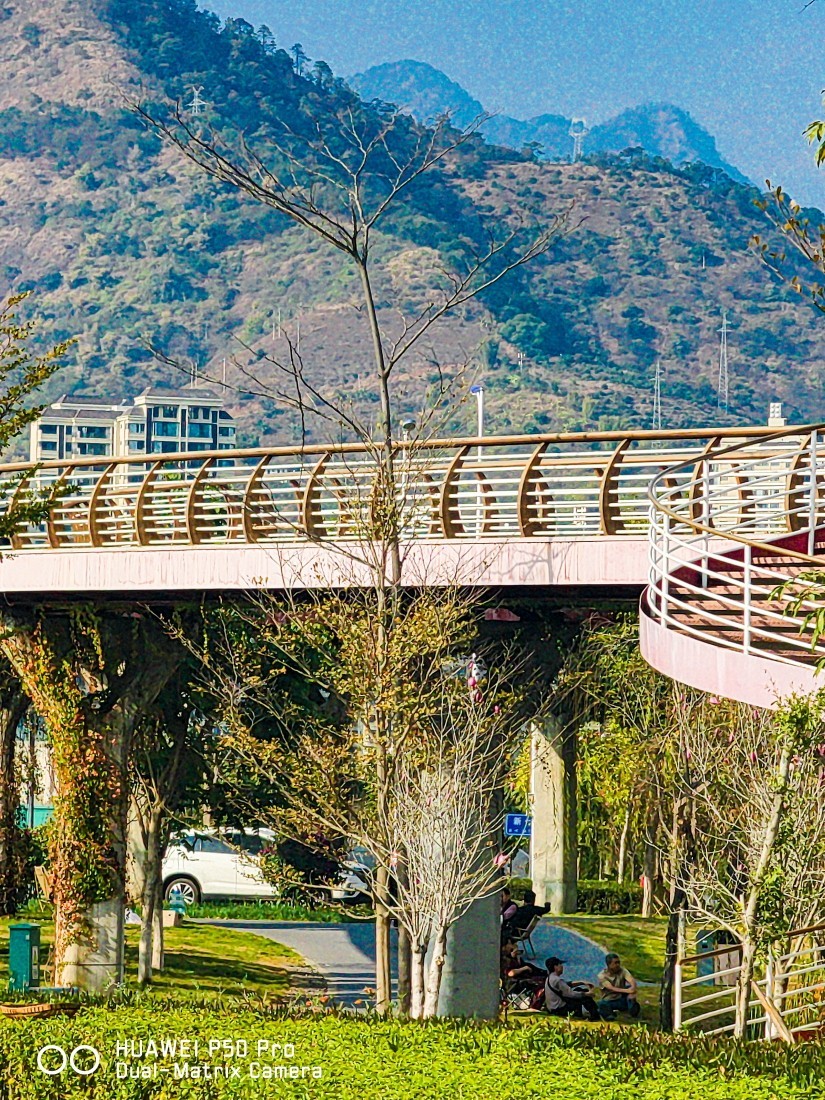 外出随拍（续362）.