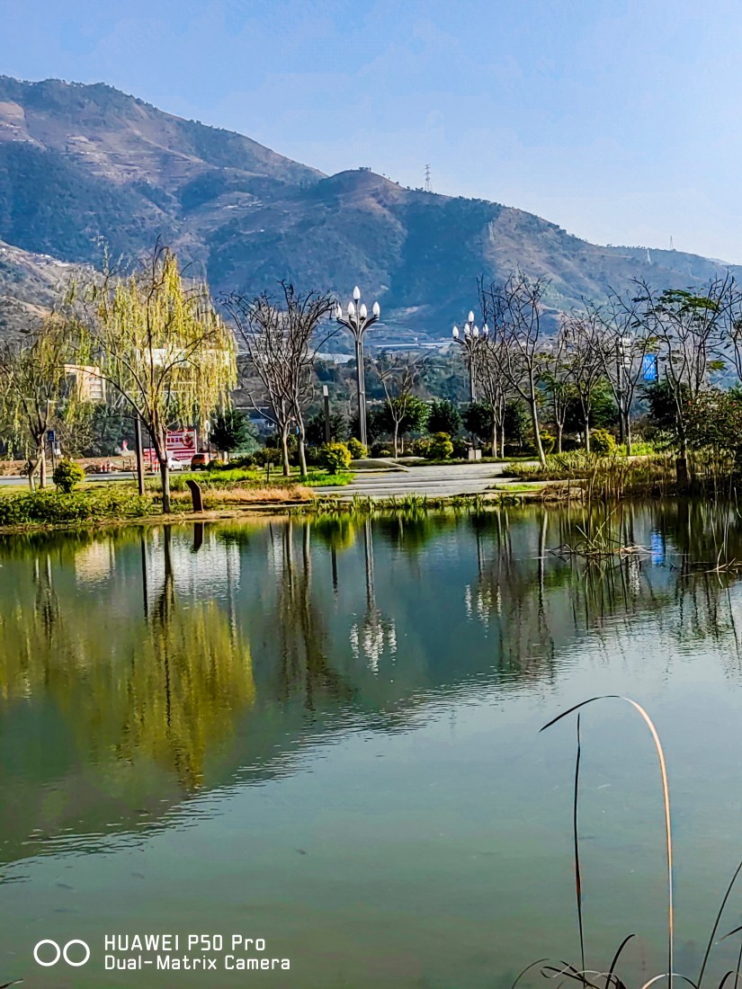 外出随拍（续362）.