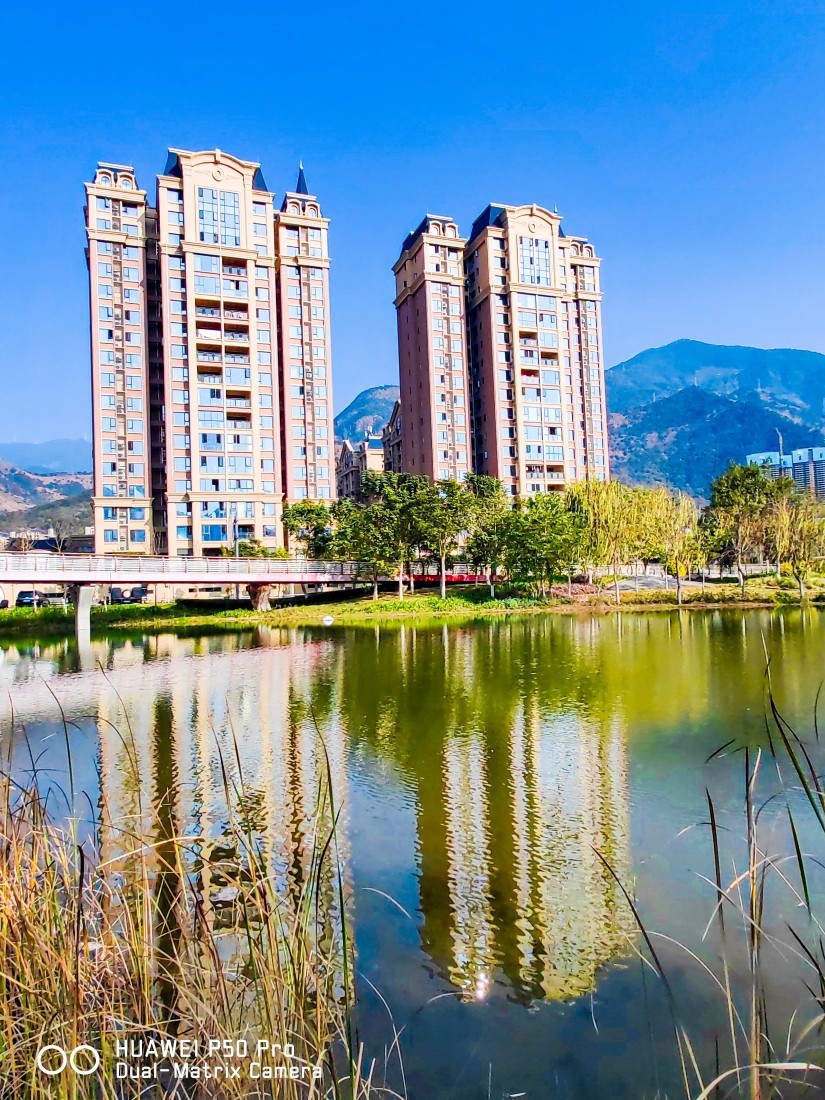 外出随拍（续362）.