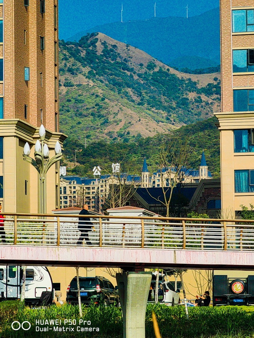 外出随拍（续362）.