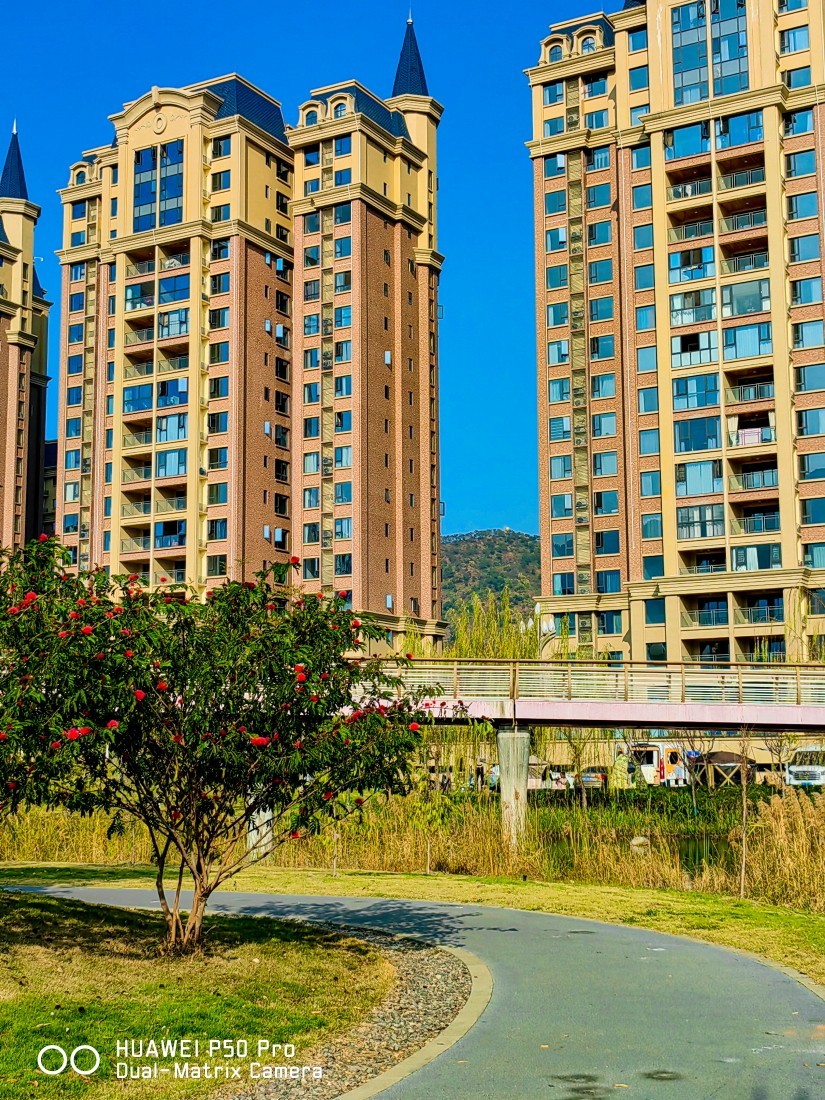 外出随拍（续362）.