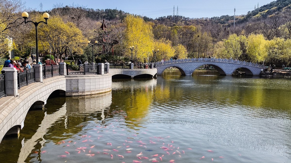 春 和 景 明 植 物 园