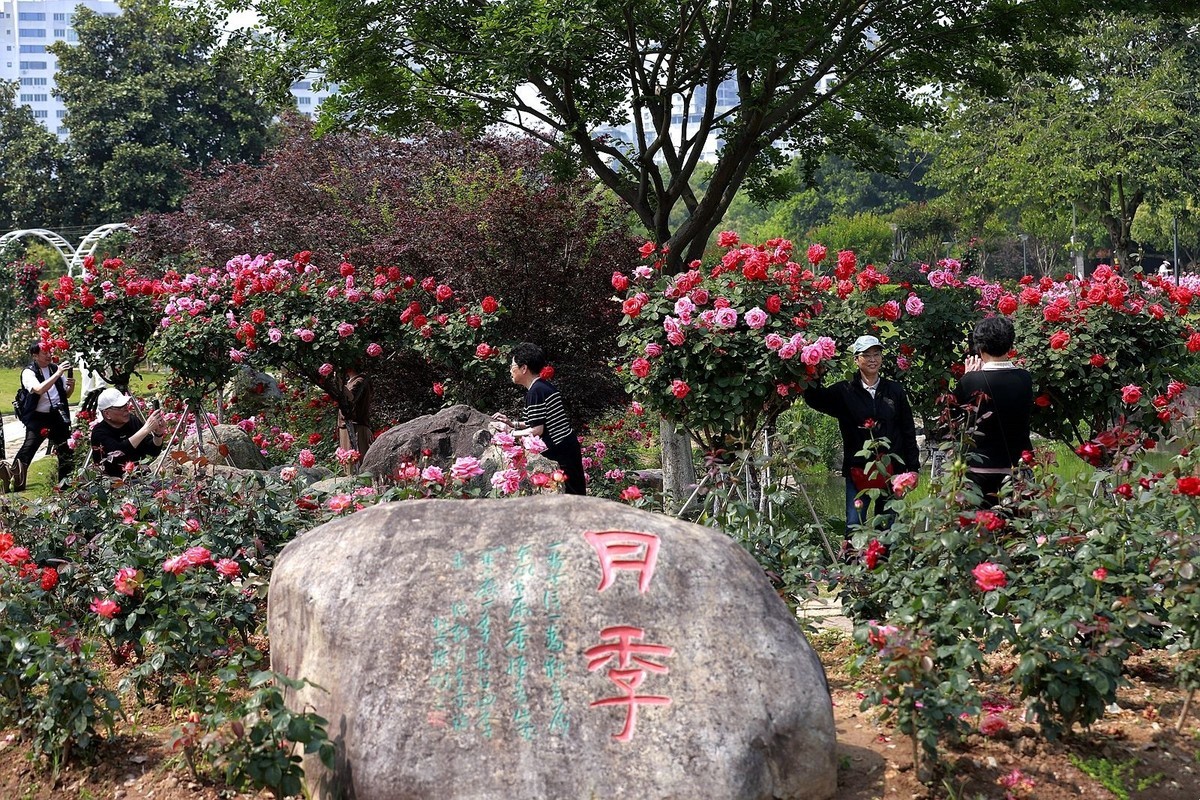 杨府山公园