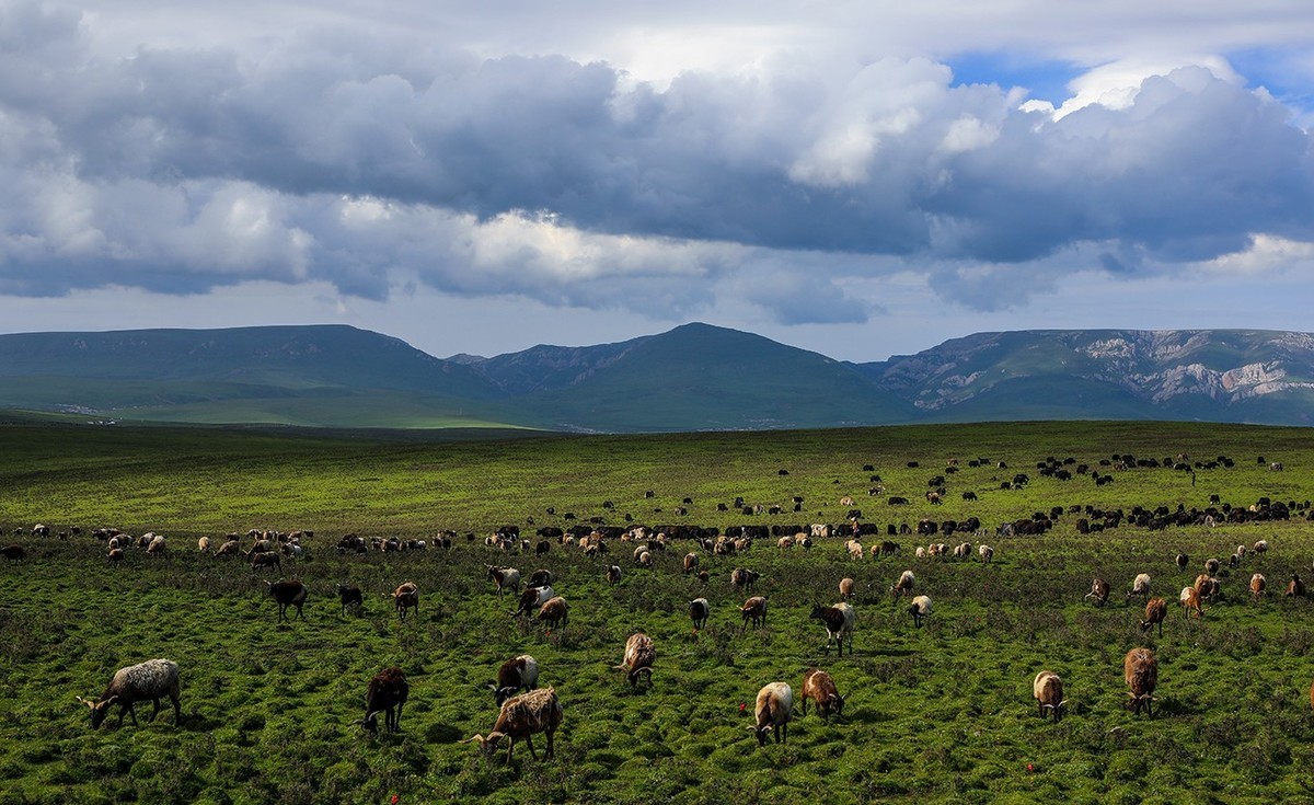 从甘肃冶力关到合作的路上随拍