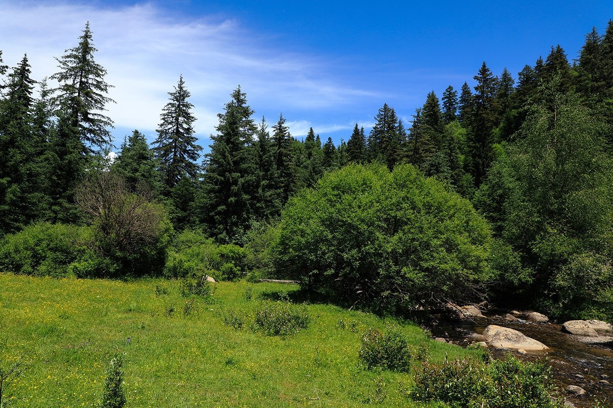 甘肃冶力关到合作的路上随拍