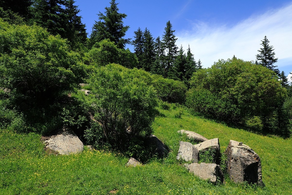 甘肃冶力关到合作的路上随拍