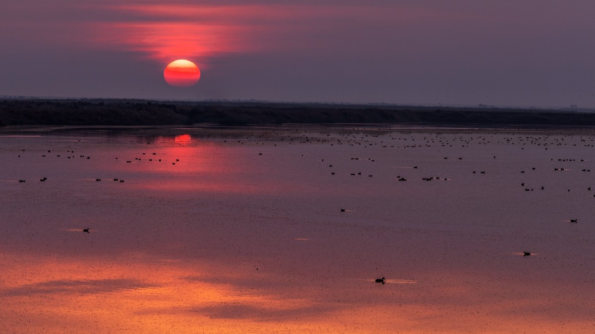 在东营看晨光日出