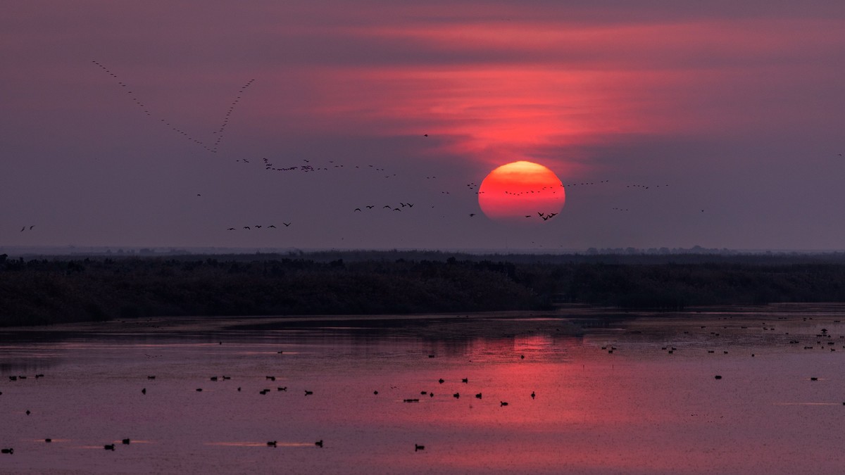 在东营看晨光日出