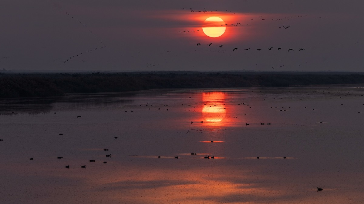 在东营看晨光日出