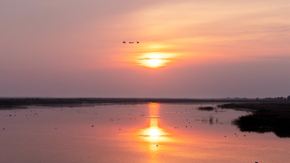 在东营看晨光日出