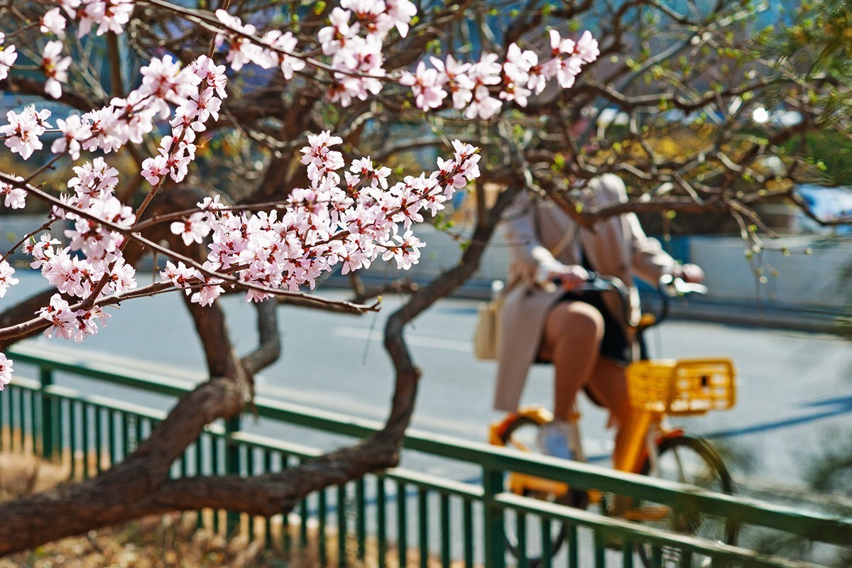 春回京城东二环