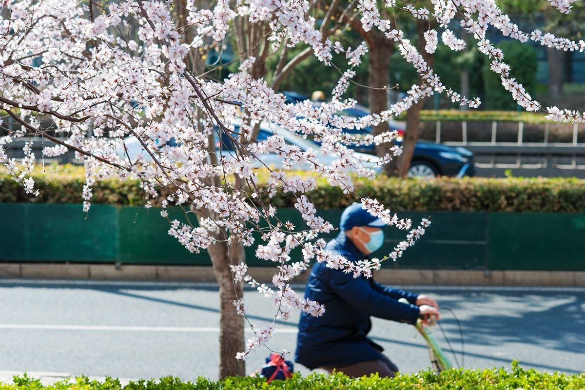春回京城东二环