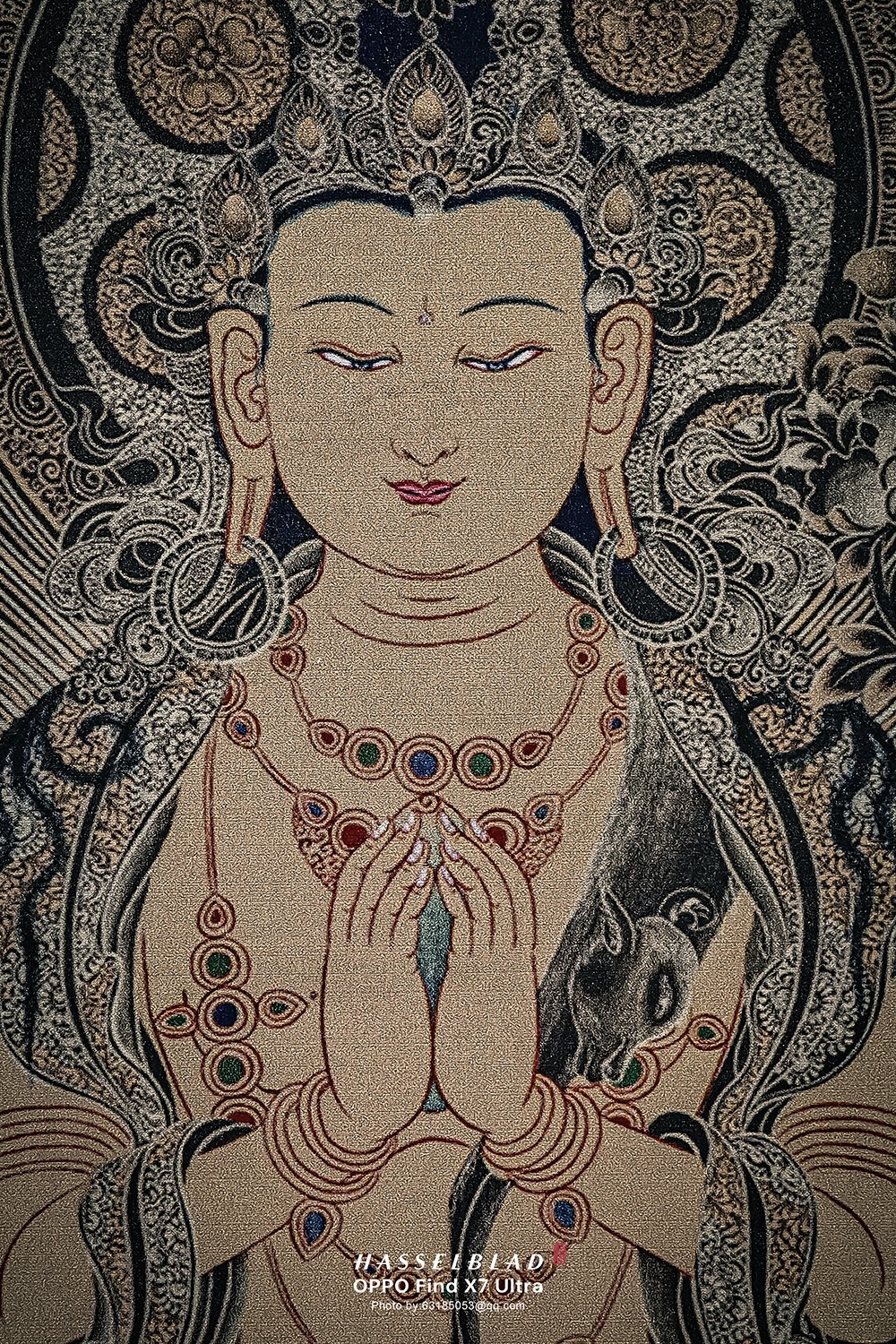 布达拉宫来自雪域高原的世界文化遗产特展 01