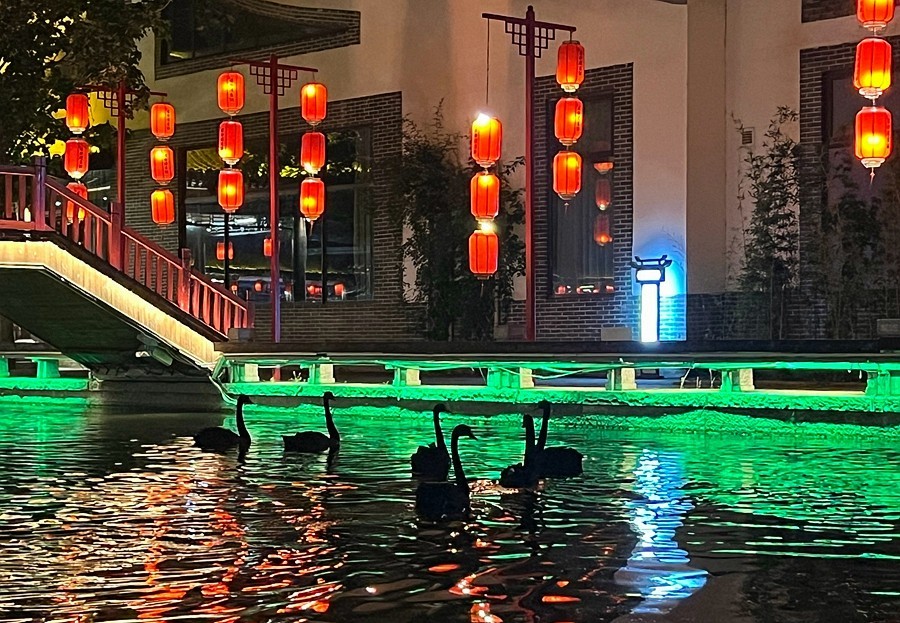 《不老松：纪实摄影》【大好河山系列报導】邯郸游摄！赤水湾古镇夜景！〔13〕黑天鵝夜