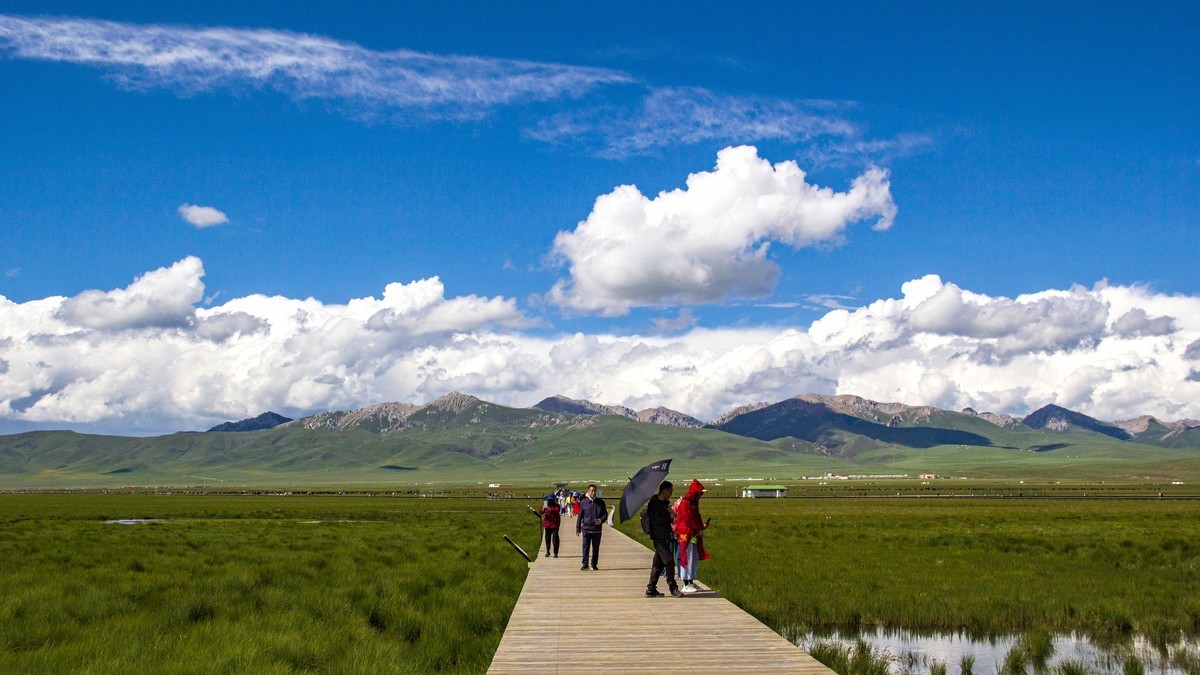若尔盖草原--花湖【2】