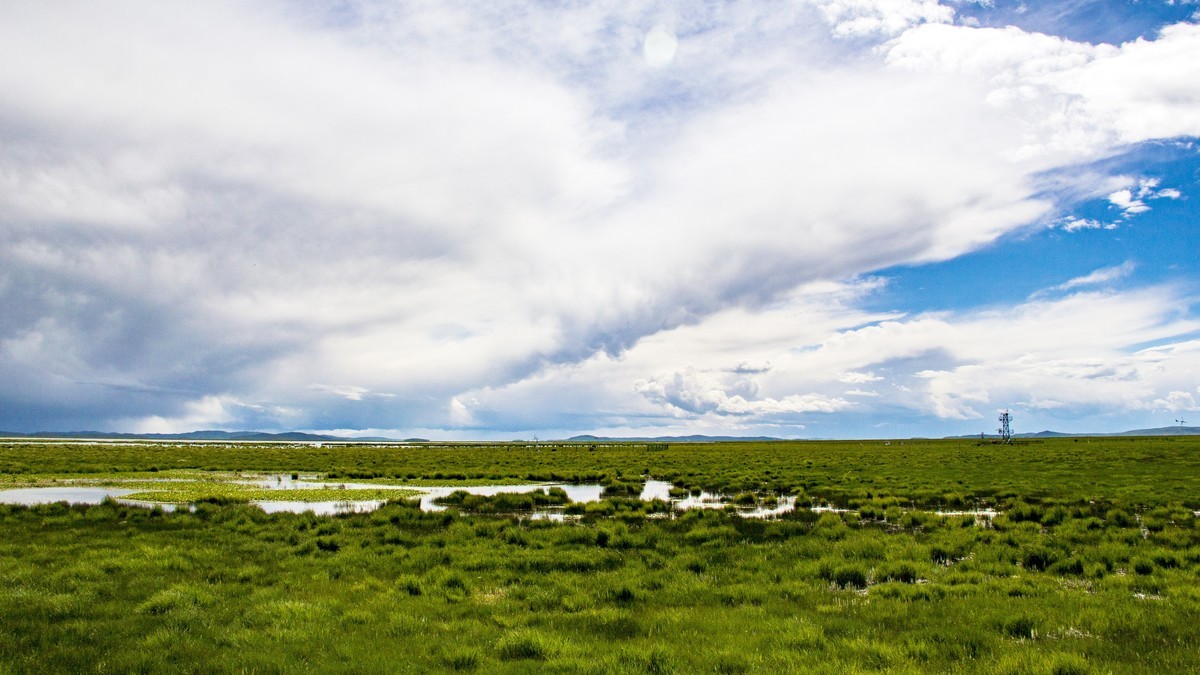 若尔盖草原--花湖【2】
