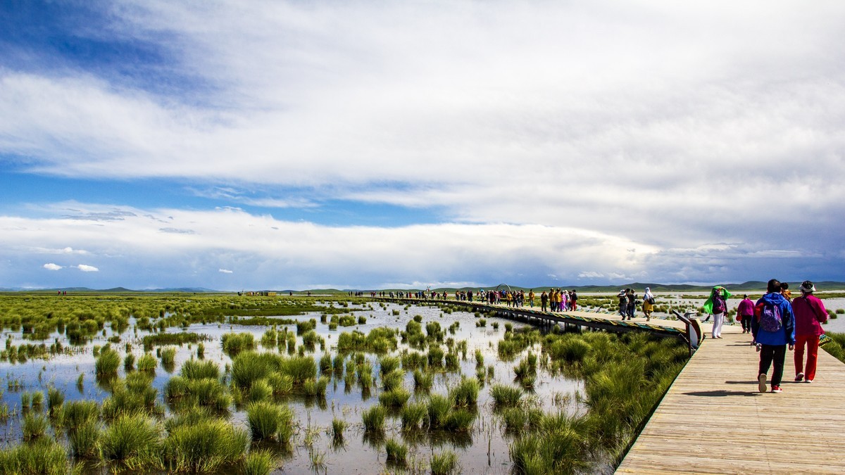 若尔盖草原--花湖【2】