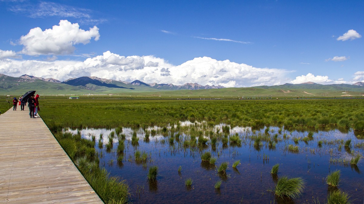 若尔盖草原--花湖【2】