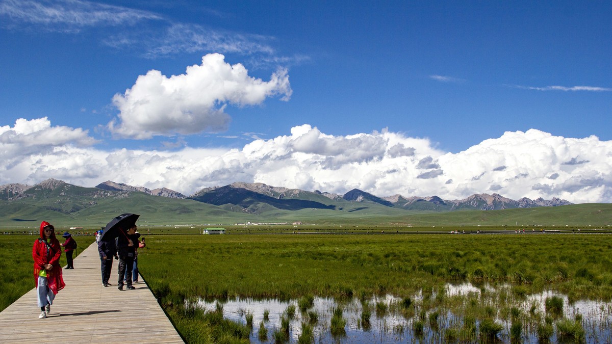 若尔盖草原--花湖【2】