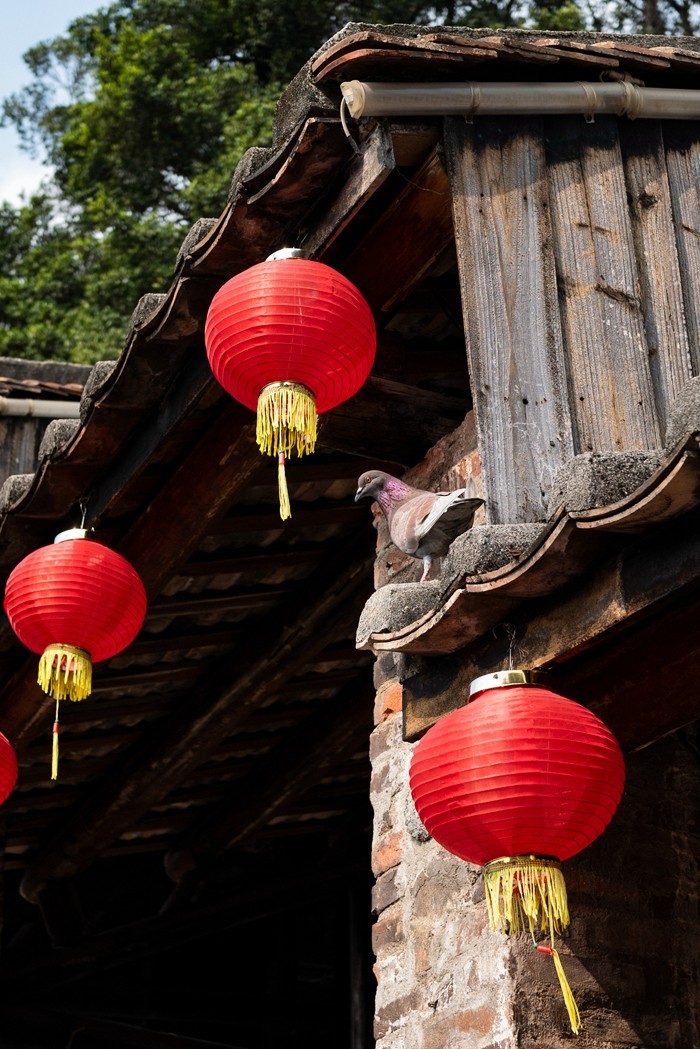 拜访好友江潍版主 （ 莱卡Q2 再拍佛山南风古灶 )