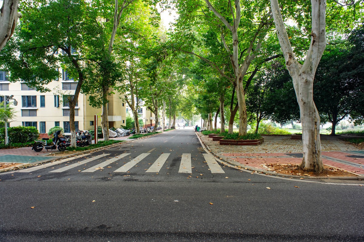 华中农业大学拾景