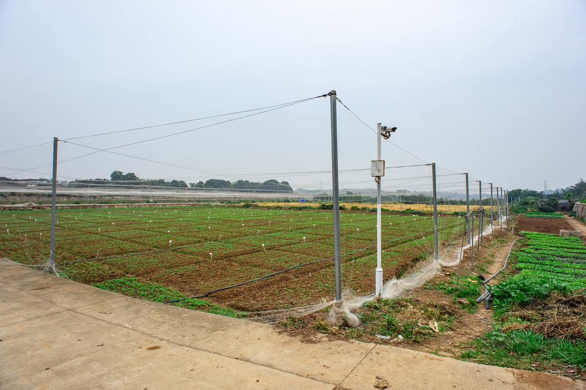 华中农业大学拾景