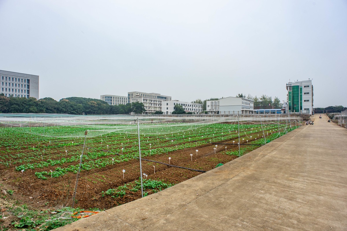 华中农业大学拾景