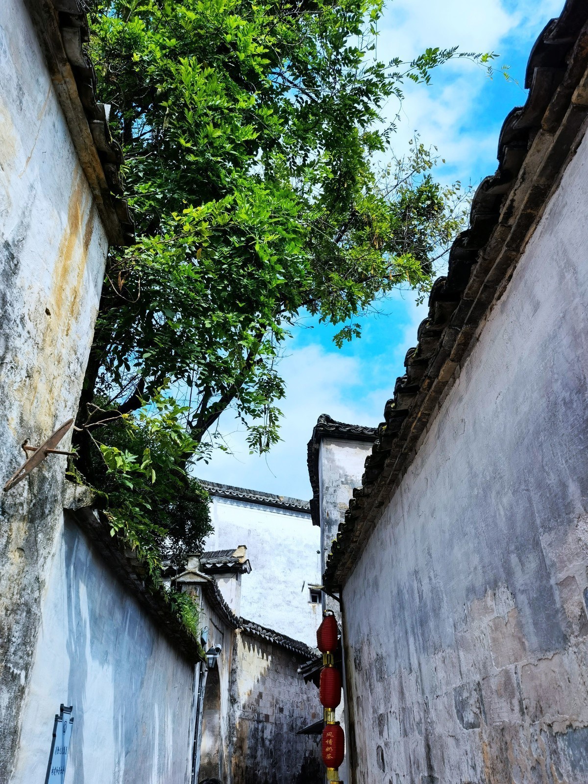 徽州宏村欢迎您：“遥遥领先”宏村手机随拍（就在塔川附近）