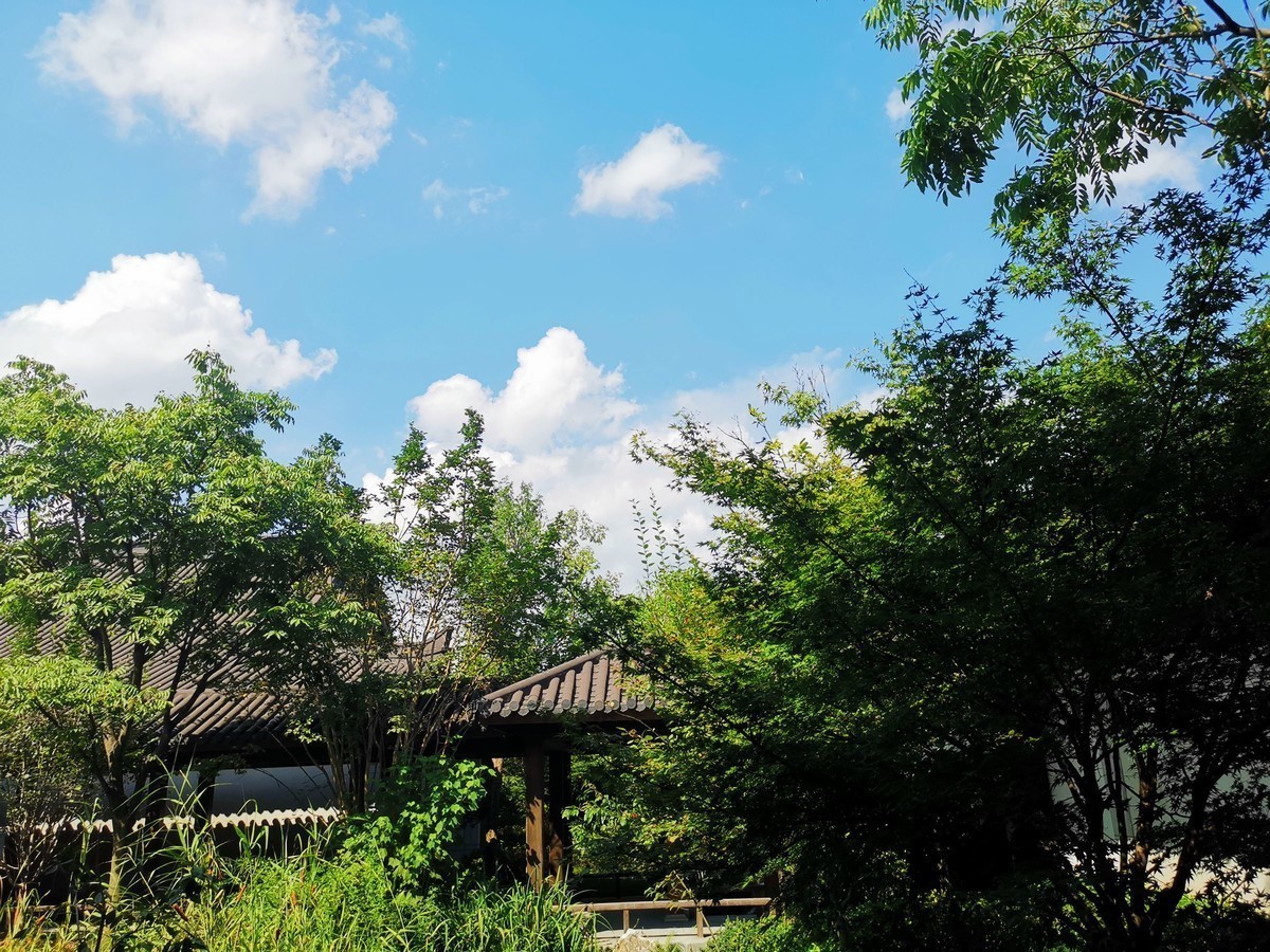 徽州宏村欢迎您：“遥遥领先”宏村手机随拍（就在塔川附近）