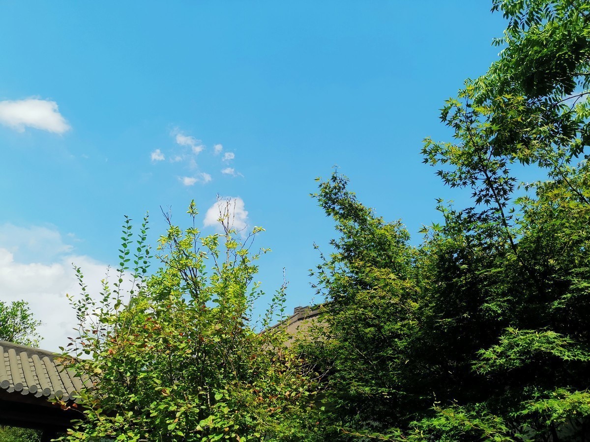 徽州宏村欢迎您：“遥遥领先”宏村手机随拍（就在塔川附近）