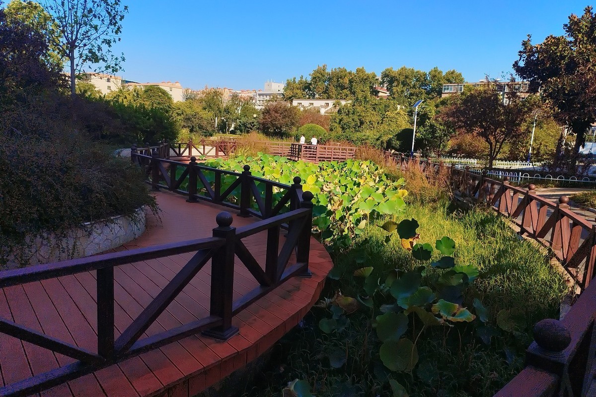 秋天里的花卉园