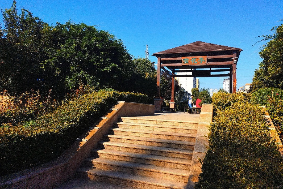 秋天里的花卉园