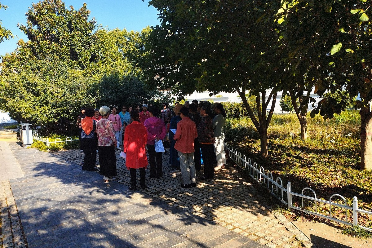 秋天里的花卉园