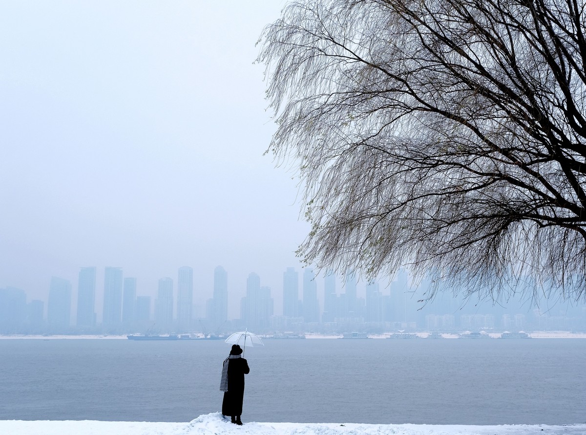 雪后江边一棵树风景