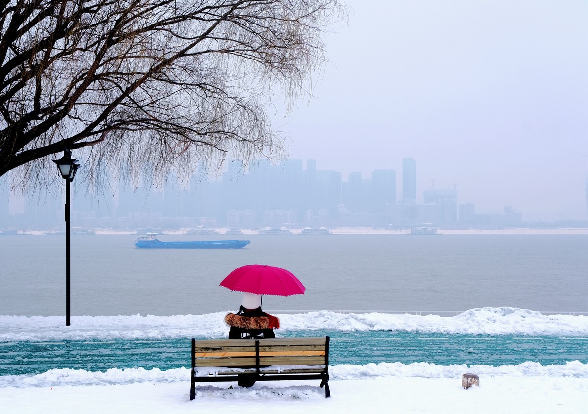 雪后江边一棵树风景